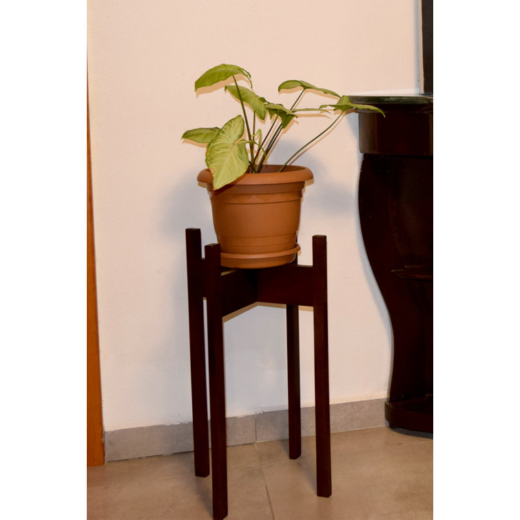 Latitude Run Isobela Handmade Solid Wood Plant Stand with 3 Size